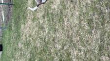 Enlarge MOV 17