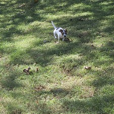 Enlarge photo 7