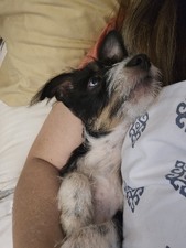 Enlarge photo 2
