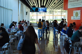 Enlarge photo 6