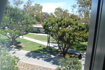 Enlarge photo 29