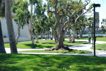 CSU Dominguez Hills