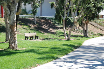 Enlarge photo 12