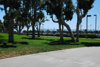 Enlarge photo 17