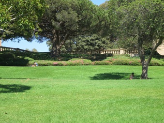 Enlarge photo 14