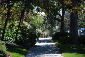 Enlarge photo 29