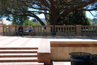Enlarge photo 8