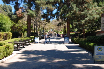 Enlarge photo 11