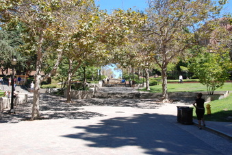 Enlarge photo 12