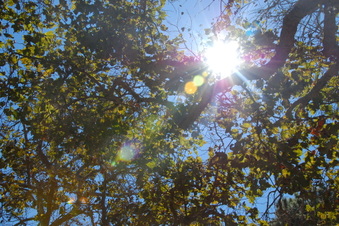 Enlarge photo 15