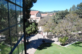 Enlarge photo 24