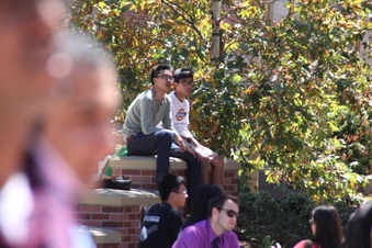Enlarge photo 37