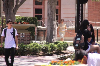 Enlarge photo 41