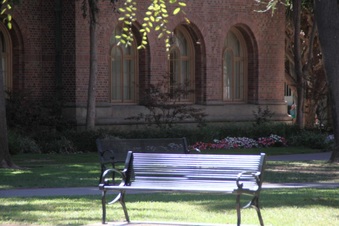 Enlarge photo 35