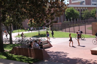 Enlarge photo 29