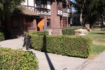 Enlarge photo 8