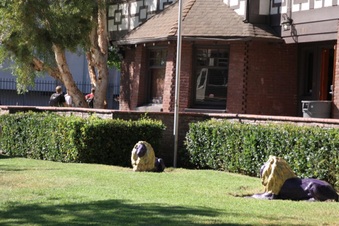 Enlarge photo 5