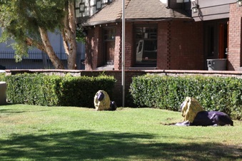 Enlarge photo 4