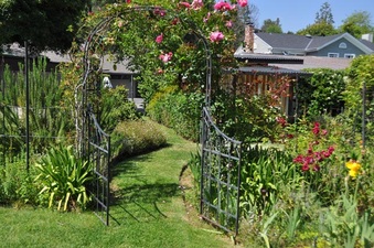 Enlarge photo 56