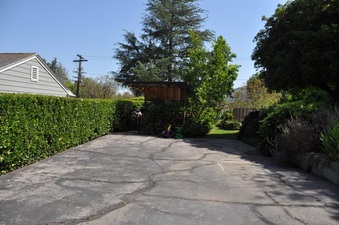 Enlarge photo 59