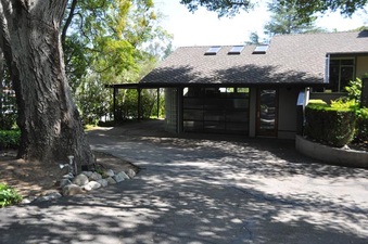 Enlarge photo 62