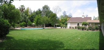 Enlarge photo 40