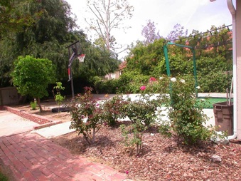 Enlarge photo 41