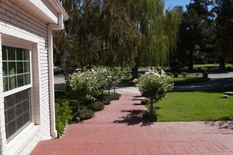 Enlarge photo 6