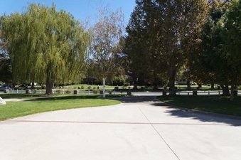Enlarge photo 119