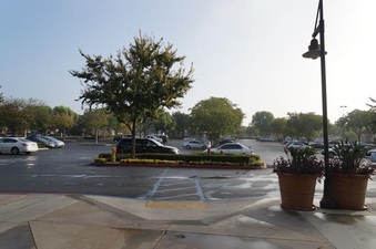 Enlarge photo 52