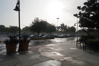Enlarge photo 53