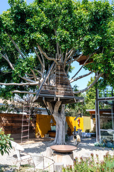 Enlarge photo 44
