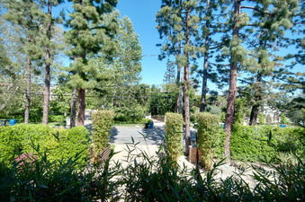 Enlarge photo 42