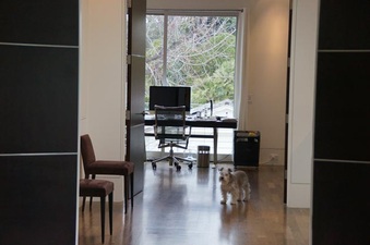 Enlarge photo 51
