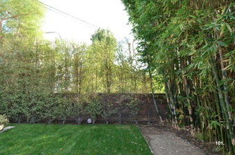 Enlarge photo 69