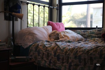 Enlarge photo 137