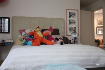Enlarge photo 62