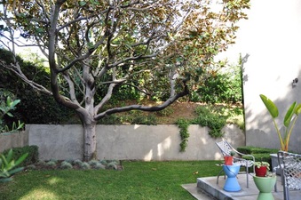 Enlarge photo 40