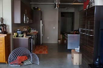 Enlarge photo 8