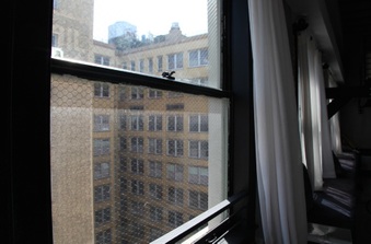 Enlarge photo 26