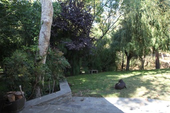 Enlarge photo 14