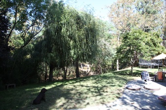 Enlarge photo 15