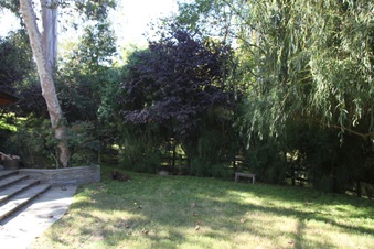 Enlarge photo 17