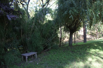 Enlarge photo 20