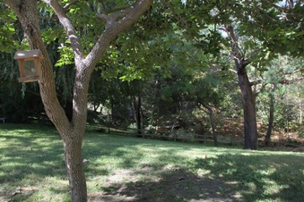 Enlarge photo 23