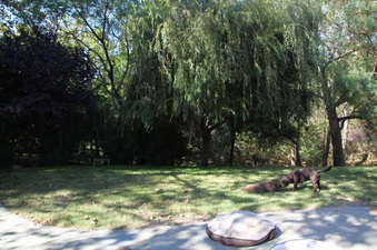 Enlarge photo 31