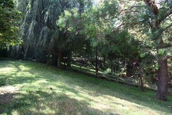 Enlarge photo 40
