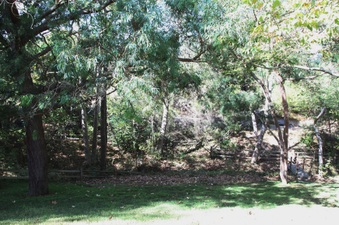 Enlarge photo 41