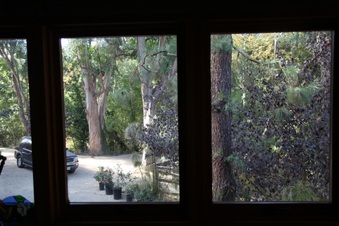 Enlarge photo 50