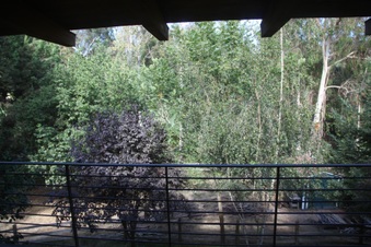Enlarge photo 51